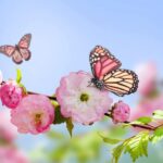 From Classic Roses to Exotic Orchids: Happy Birthday Flowers That Impress