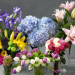 Neutral Bay Florist: Offering a Palette of Fresh and Vibrant Blooms