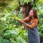Tree Pruning in Sydney’s Eastern Suburbs: Trusted Local Services