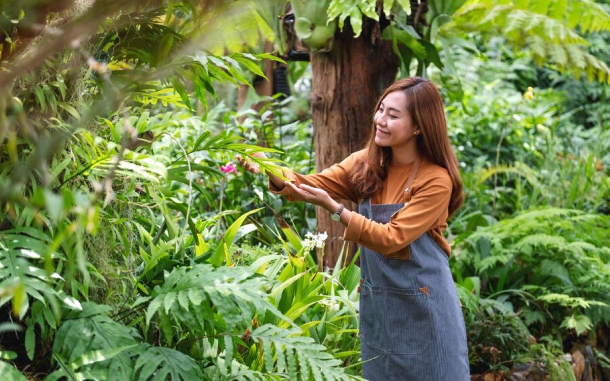 tree pruning eastern suburbs